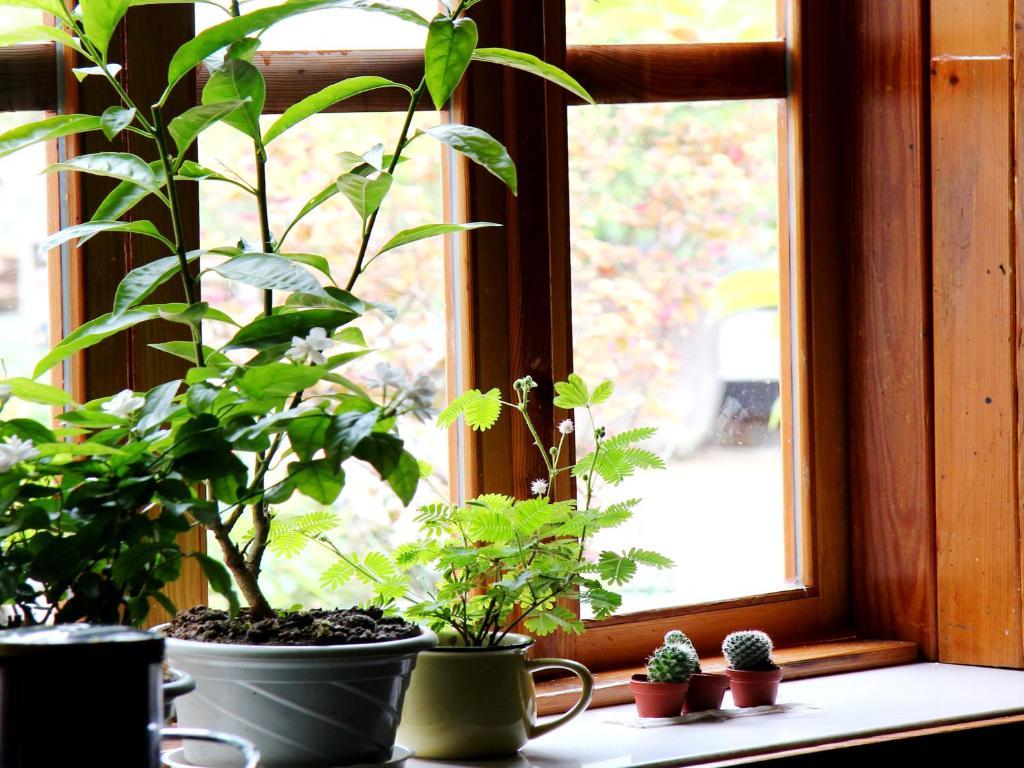 Yangshuo Greenforest Hostel Exterior photo